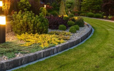 Top 5 Benefits of Professional Landscape Maintenance