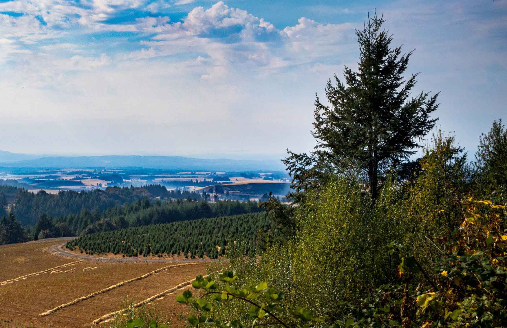 Rural Willamette Valley