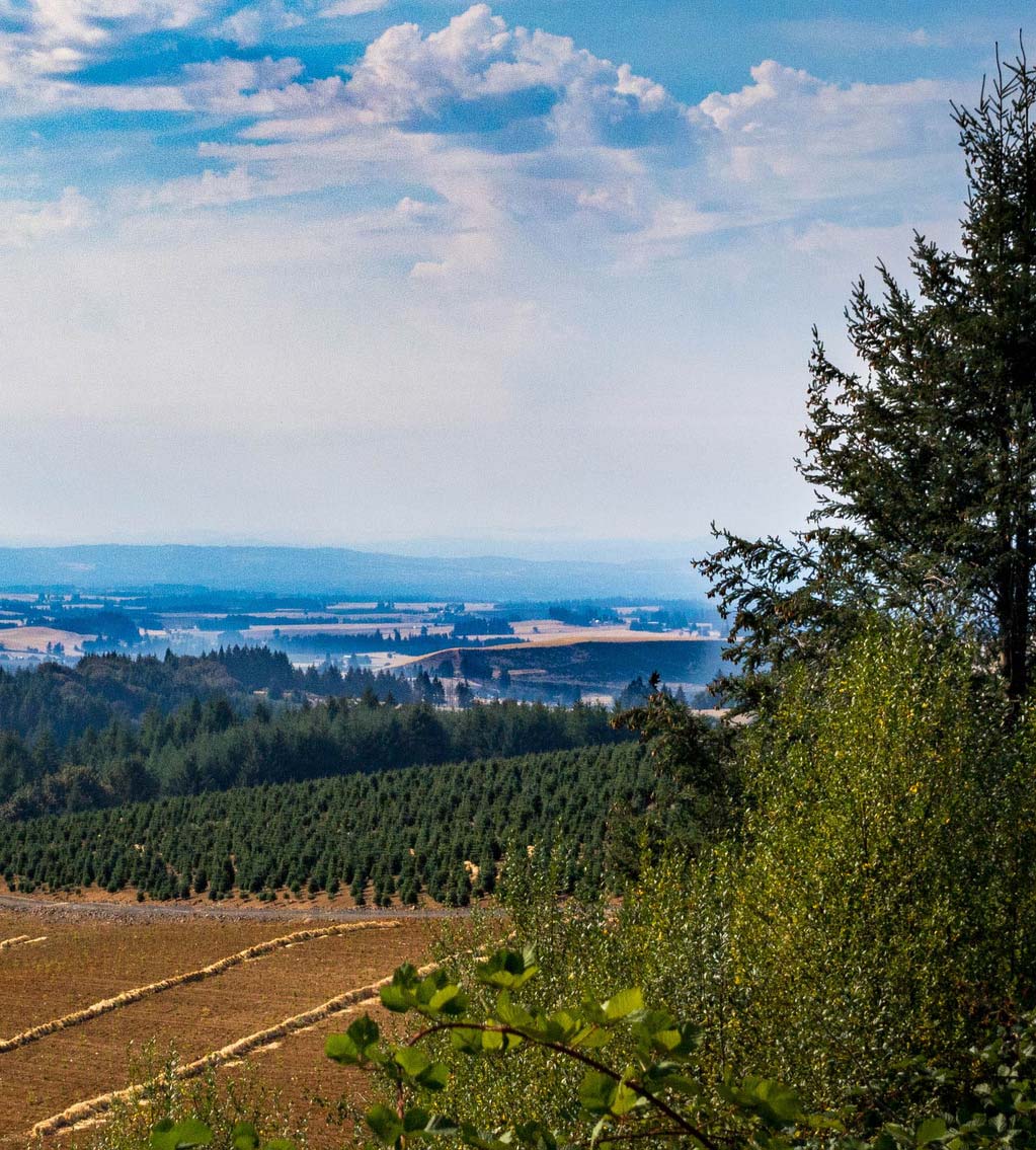 Rural Willamette Valley