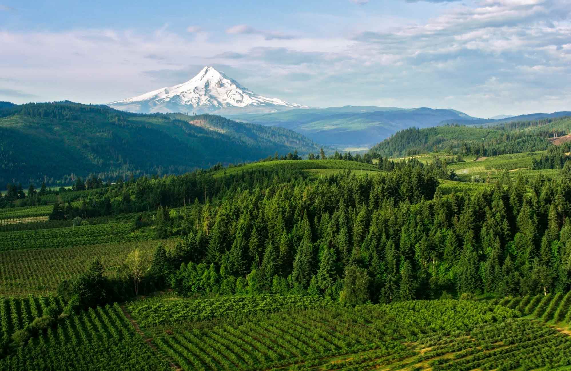 View of Mt Hood near Boring Oregon